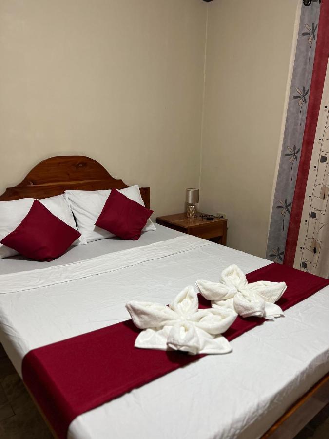 Dreamcatcher Hostel モアルボアル エクステリア 写真