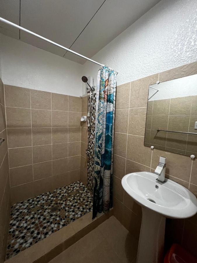 Dreamcatcher Hostel モアルボアル エクステリア 写真