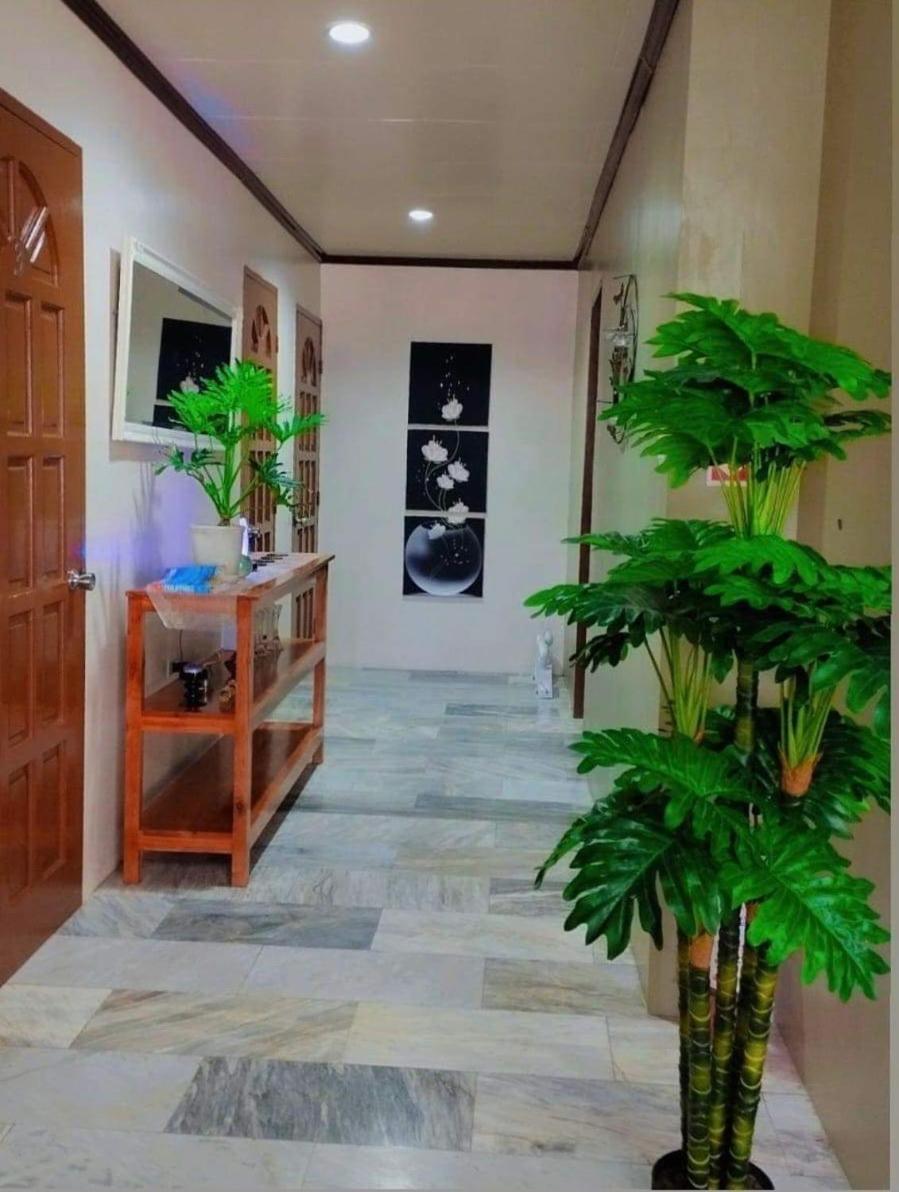 Dreamcatcher Hostel モアルボアル エクステリア 写真